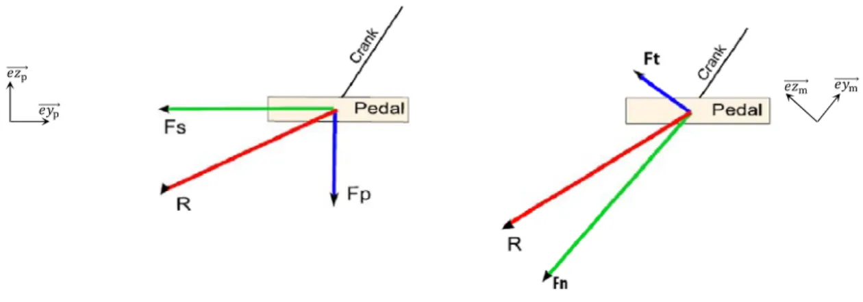 Figure 3 : Composantes de forces appliquées sur la pédale droite 