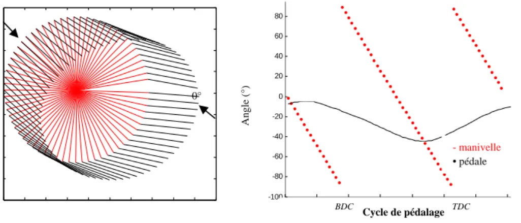 Figure 12 : Kinogramme de la manivelle 