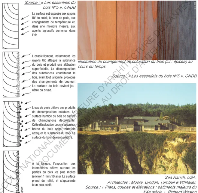Illustration du changement de coloration du bois (ici : épicéa) au  cours du temps.