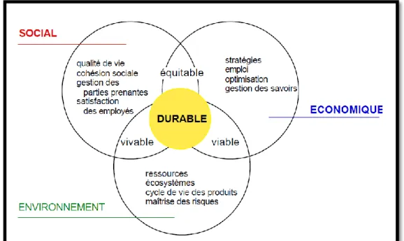 Diagramme 08: les principes du développement durable  Source: Catherine LAVAL 64