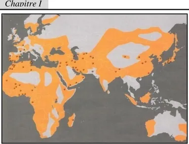 Fig. 6:  Le  cycle  écologique  vertueux  des  architectures de terre : de la terre à la terre