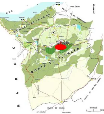 Figure n°25 : Situation de la ville par rapport à la wilaya  Source : ANAT, PDAU du groupement Tlemcen ,