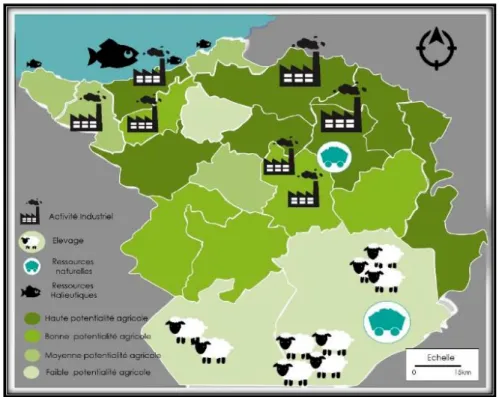 Figure 9: Carte économique de la wilaya de Tlemcen 10