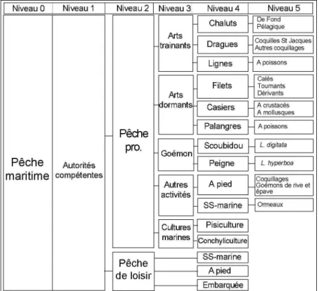 Figure 1. Structuration hiérarchique : du général au spécifique 