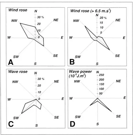 Fig.  4 - Direction et force du  vent et de la houle.  A  : rose  des  vents  calculée  à partir  des  données  enregistrées  sur 20 ans  (1962-1982) au  Cap  Cou ronne  (Greslou,  1984) ; В :  rose des vents supérieurs  à 6,5 m/s,  valeur correspondant à 
