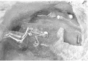 Fig. 67 —  Bourges (Cher). Squelettes humains du silo F. 4  du  Chemin de donne (photo  0