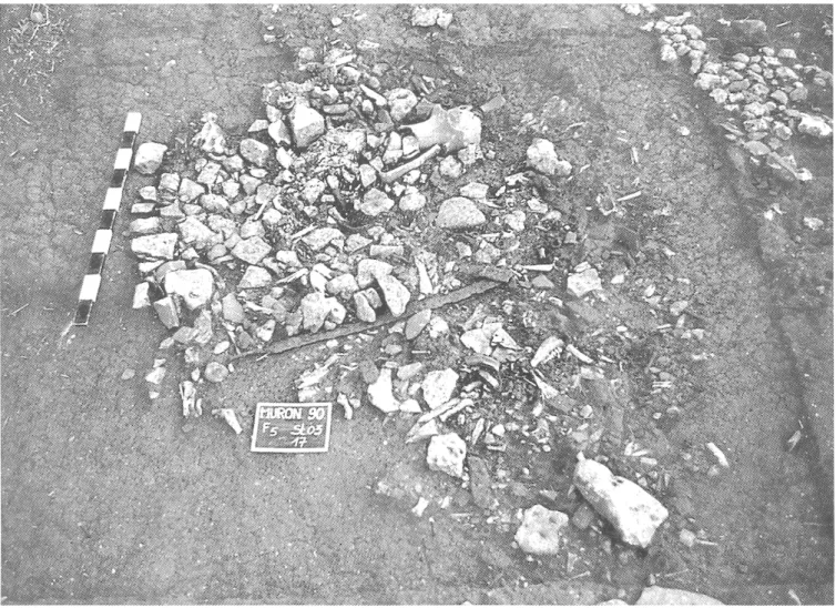 Fig. 71 - Muron (Charente-Maritime). Sommet du remplissage d'une fosse du sanctuaire des Prés de Lise :  amphores, faune  (dont un crâne de cheval),  armes et outils en fer, fragments d'un chaudron en  bronze,  tessons (photo J