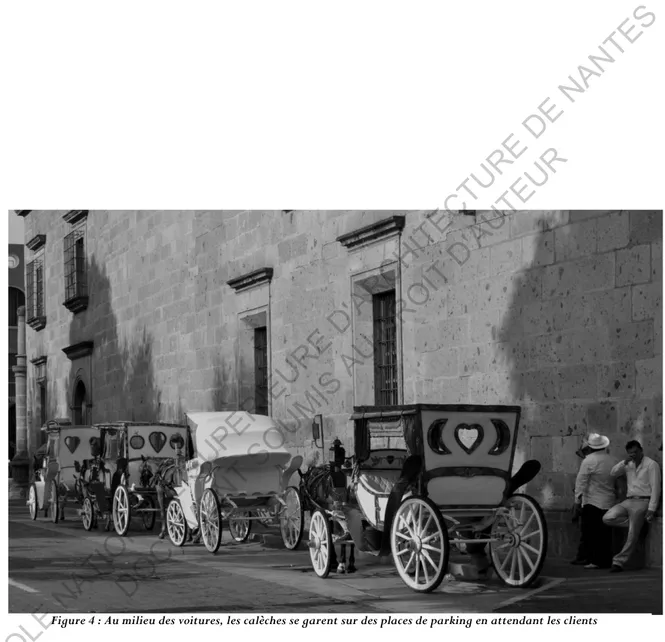 Figure 4 : Au milieu des voitures, les calèches se garent sur des places de parking en attendant les clients 