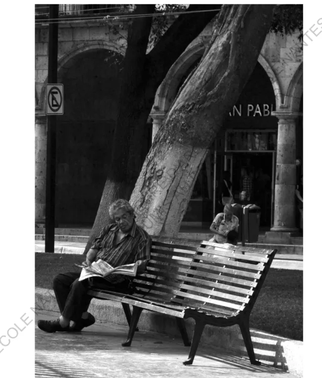 Figure 9 : Un homme lisant son journal dans le parc de la Rontonde 