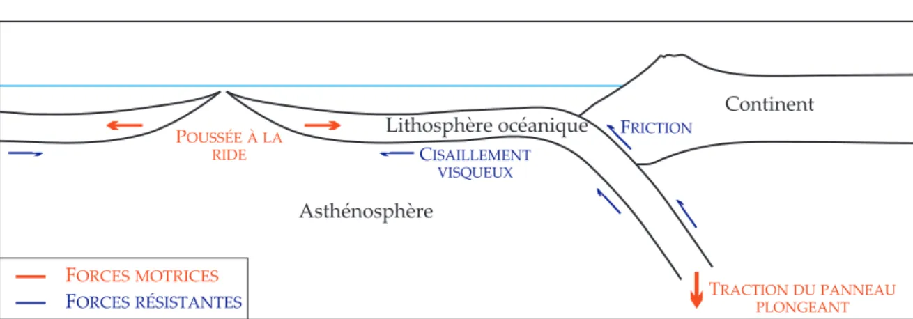 Fig. 1.4: Principales forces impliqu´ees dans un processus de subduction.