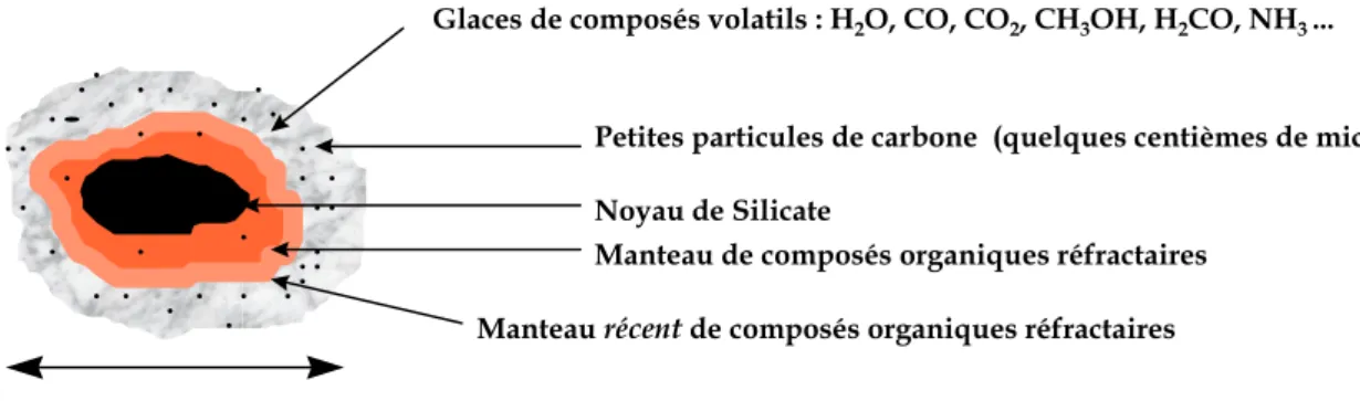 Figure I.4. : Particule de poussière interstellaire d’après le modèle de Greenberg (d’après  (Cottin, 1999) )