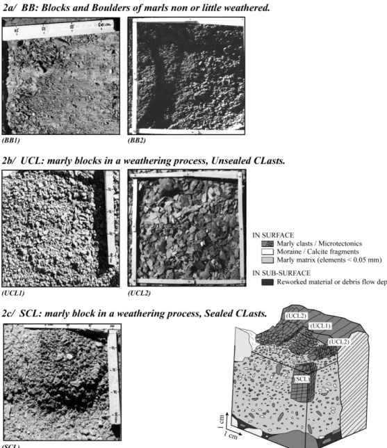 Figure 2. Morphology of the six types and ten sub-types of SSCs