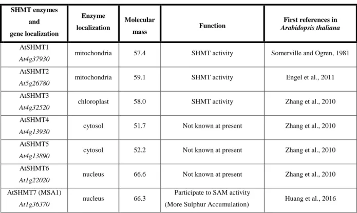 Table 4. SHMTs in Arabidopsis thaliana. 