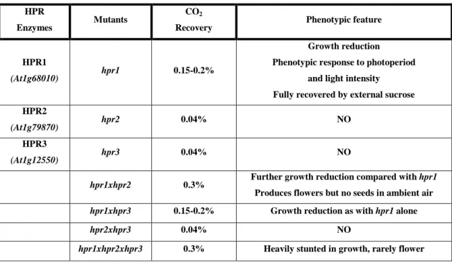 Table 6. Phenotypic features of Arabidopsis HPR mutants (Timm et al., 2008, 2011). 