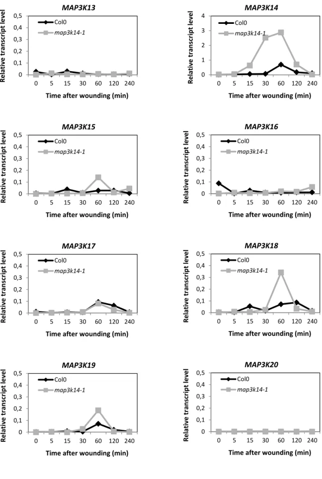 Figure 2.18: Some MAP3Ks expression is increased in map3k14-1 plants 