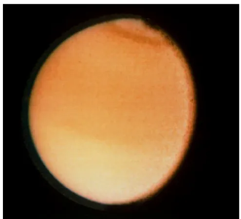 Figure  1-2 : image de Titan dans le visible réalisée par la sonde Voyager 2 à une distance de 2,3 millions de  kilomètres (source: http://photojournal.jpl.nasa.gov/catalog/PIA01532/ )