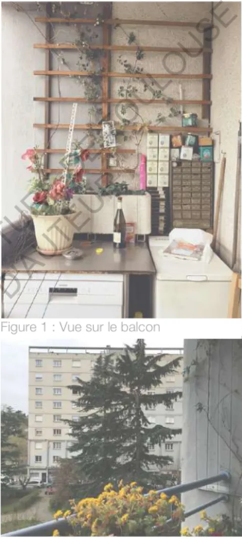 Figure 1 : Vue sur le balcon   