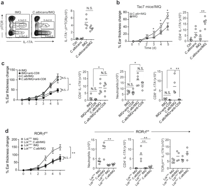 Figure 2. C. albicans colonization selectively promotes IL-17A production from CD4 +  effector  T cells