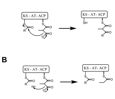 Figure 8. A: mécanisme classique de condensation , B: Condensation erronée 