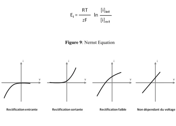 Figure 9: Nernst Equation 