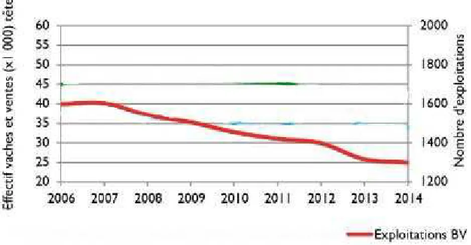 Graphique 1. Evolutions des effectifs d'exploitations des éleveurs Bovin Viande (en milier) de 2006 à 2014 