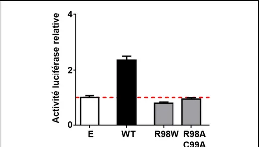 Figure 11:  Pe te d’activit  t a sc iptio elle de l’all le  uta t R W. 