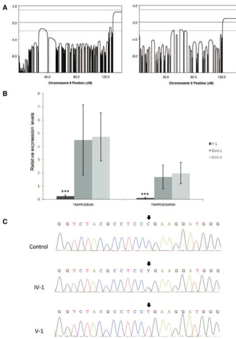 Figure 2. Genetic Analysis of the Family (A) Results of the linkage analysis with the Merlin software