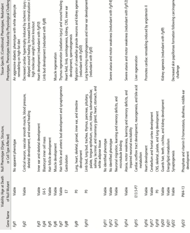 Table 1. Phenotypes of germline and conditional loss-of-function Fgf mutations in mice