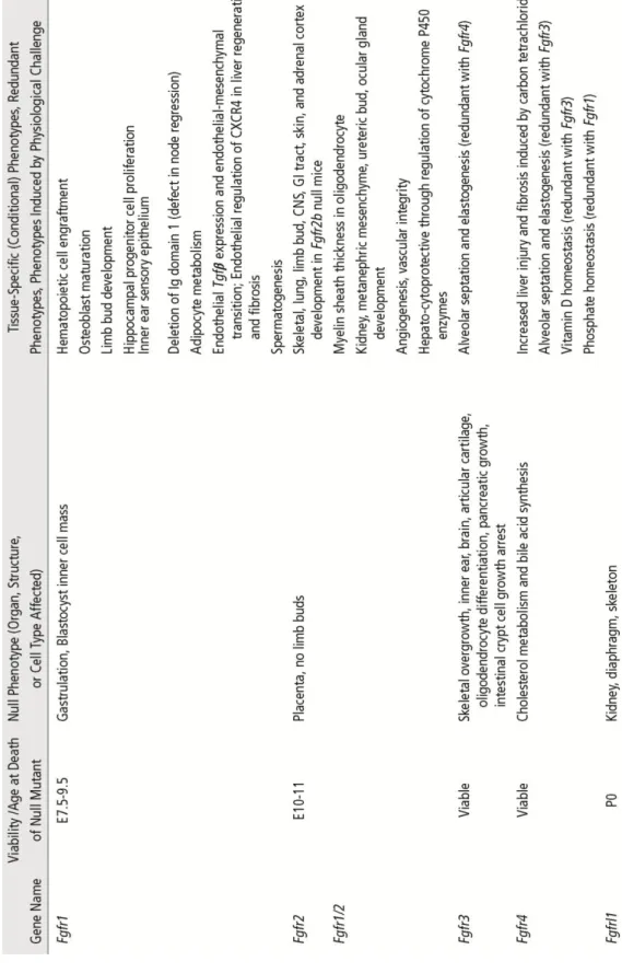 Table 2. Phenotypes of germline and conditional loss-of-function Fgfr mutations in mice
