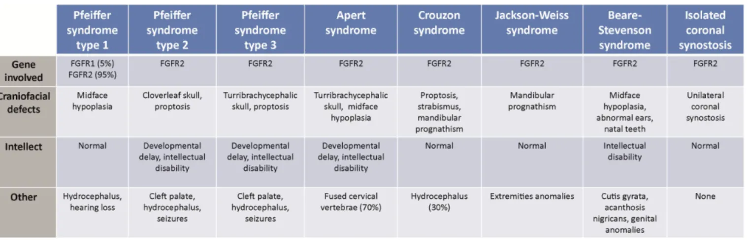 Table 4. FGFR1 and FGFR2 related craniosynostoses.  