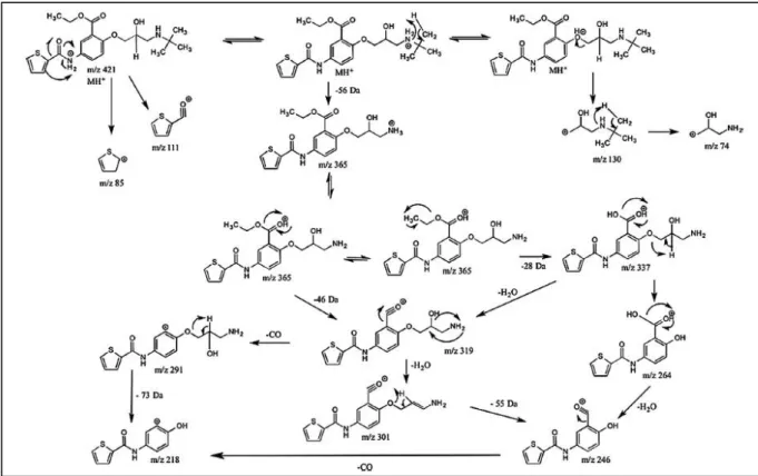 Figure 4-6. Schéma de fragmentations ESI-MS n  proposé pour l’ion protoné à m/z = 421  correspondant au tienoxolol 