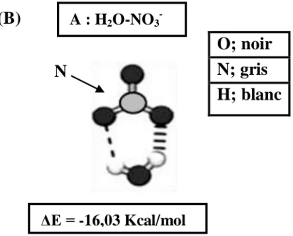 Figure 3: Le  faciès  chimique de l’ion nitrate (Oluyomi et al, 2008 )  I.6. Domaines d’utilisation des nitrates  