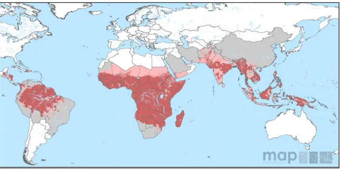 Fig. 2: P. falciparum malaria risk defined by Annual Parasite Incidence in 2010. Carmine color refers to stable- stable-transmission geographical zone where annual parasite incidence PfAPI ≥ 0.1%, whereas pink color represents  unstable-transmission zone w