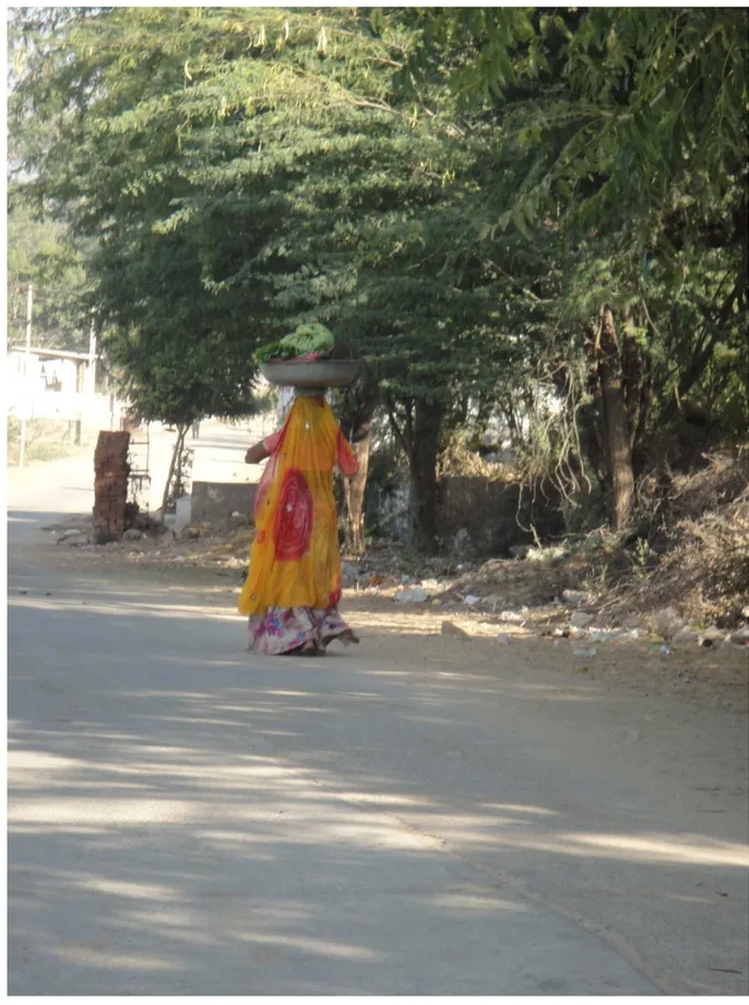 Figure 8 Voile complétant une tenue jupe longue et blouse ( ghaghra, choli ). Photo Bernard Renn