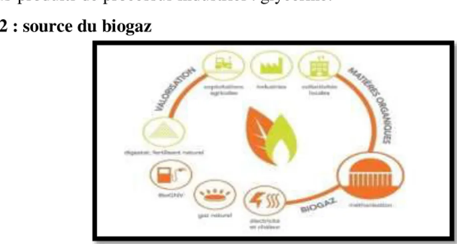 Figure 12 : source du biogaz 