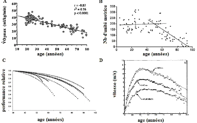 Figure 3 : différentes propositions de caractérisation des dynamiques via des équations  linéaires et non-linéaires