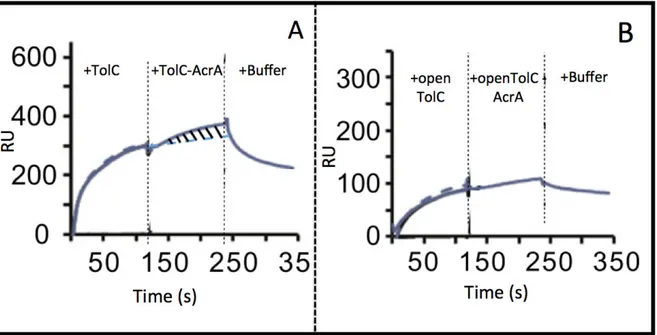 Figure 26: Sensorgram of the tripartite efflux pump formation. Adapted from Tikhonova et al 2011 Chemistry and  Biology