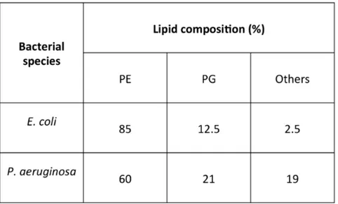 Figure 31: Lipid composition of E. coli and P. aeruginosa. Adapted from Epand et al 2010 AAC