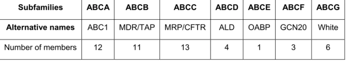 Table  2.  Classification  of  the  ABC  transporter  family  transporters  according  to  the  Human  Genome  Organization nomenclature