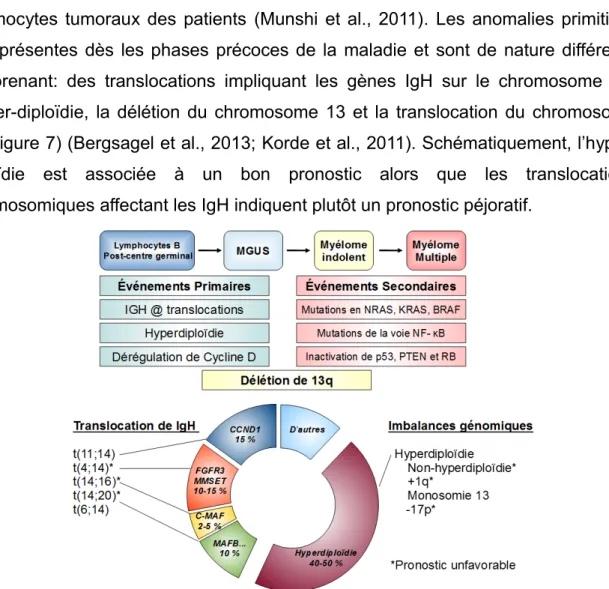 Figure 7 : Schéma des événements génétiques associés à l’évolution du myélome multiple (Adapté de Korde et al., Blood, 2011 &amp; Bergsagel et al., Blood, 2013)