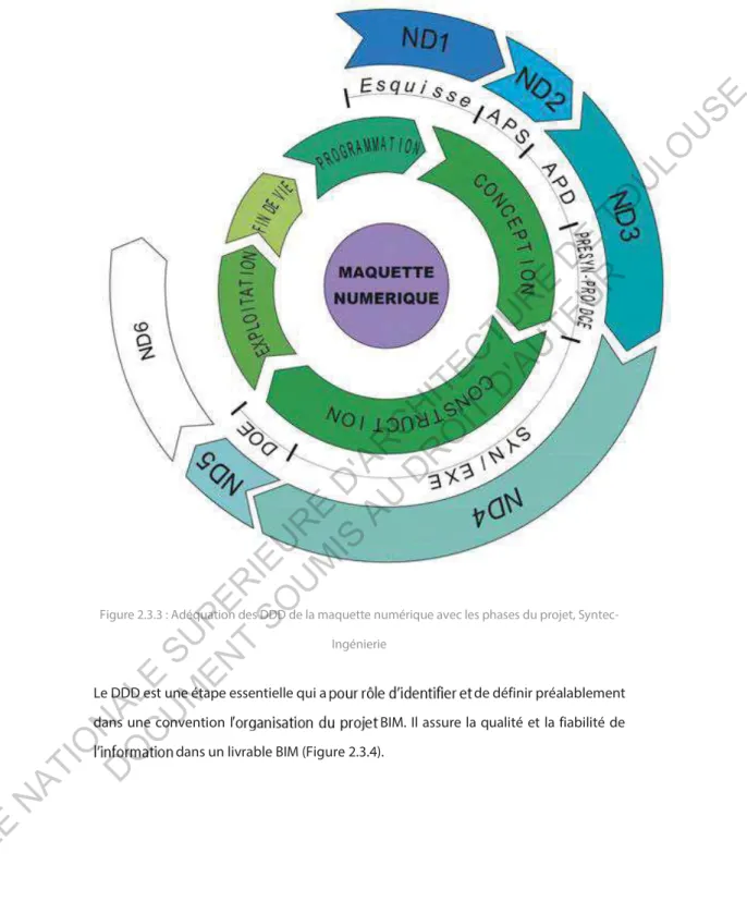 Figure 2.3.3 : Adéquation des DDD de la maquette numérique avec les phases du projet, Syntec- Syntec-Ingénierie 