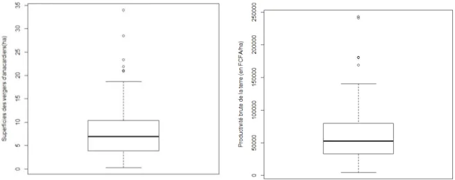 Figure 11 : Système de culture de l'anacarde dans l’échantillon : répartition par quartile de la superficie des vergers  (graphe de gauche) et de la valeur ajoutée brute par hectare obtenues par les enquêtés (graphe de droite)