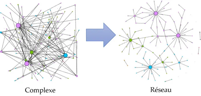Graphique 1 Le passage du « complexe » à l’organisation en « réseaux » 