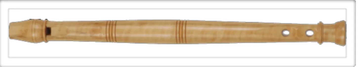 Figure 1 - Flûte ossaloise d'E. Holmblat - photographie issue de son site internet 