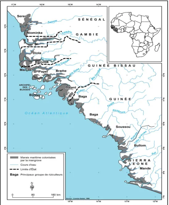 Figure 2: Les Diola dans les peuples riziculteurs des &#34;Rivières du Sud&#34; (source : Cormier-Salem, 1999) 