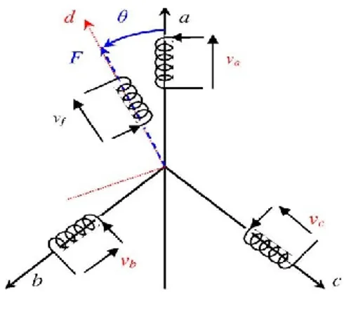 Figure 2.7 Schéma de la machine synchrone dans le repère abc. 