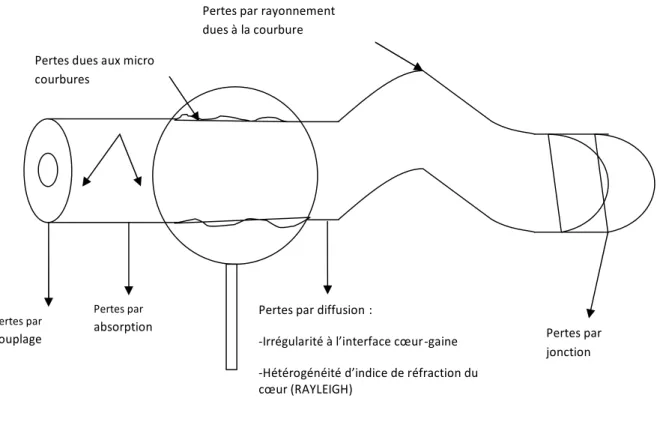Fig 3-4 : Différentes pertes dans la fibre optique 