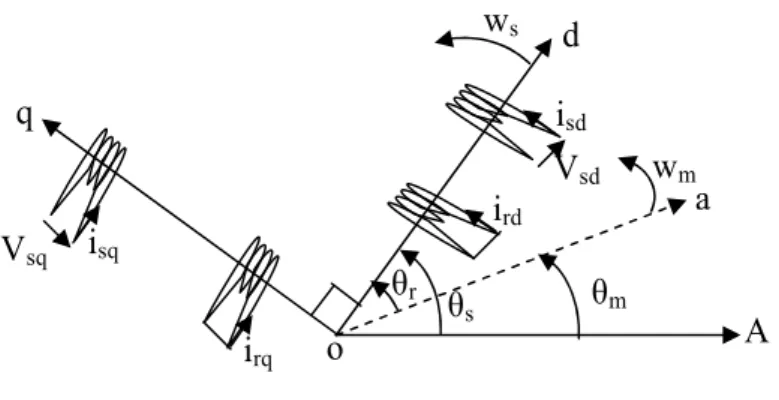 Figure 1.2 : Réprésentation schématique de la transformation des enroulements réels                           en  enroulements équivalents (Transformation  de Park)          