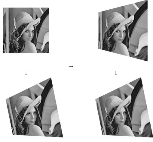 Figure 2.5: Illustration de la d´ecomposition d’une rotation de cam´era. ` A gauche, de haut en bas, l’image de Lena et l’image obtenue par une rotation param´etr´ee par θ = 0, α = 0.1, β = 0.2.