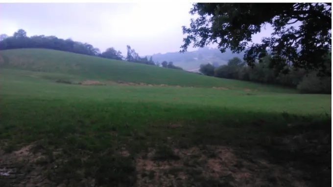 Figure 3: Un piégeur nous explique rester observer pendant 10 minutes tous les matins à cet endroit,  lors  de  son  circuit  de  levée  de  pièges